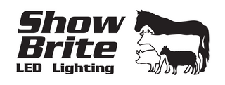 Show Brite LED lighting logo
